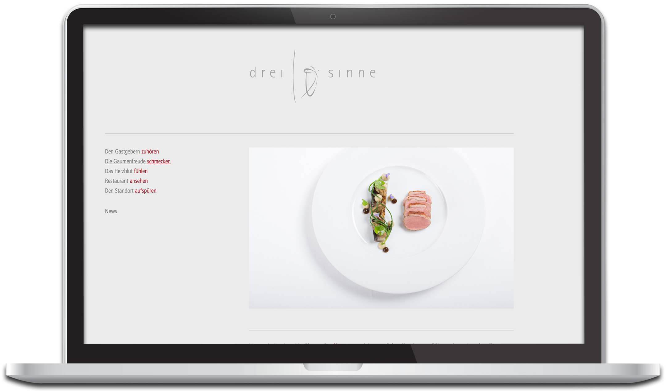 dreizehnsinne MacBook