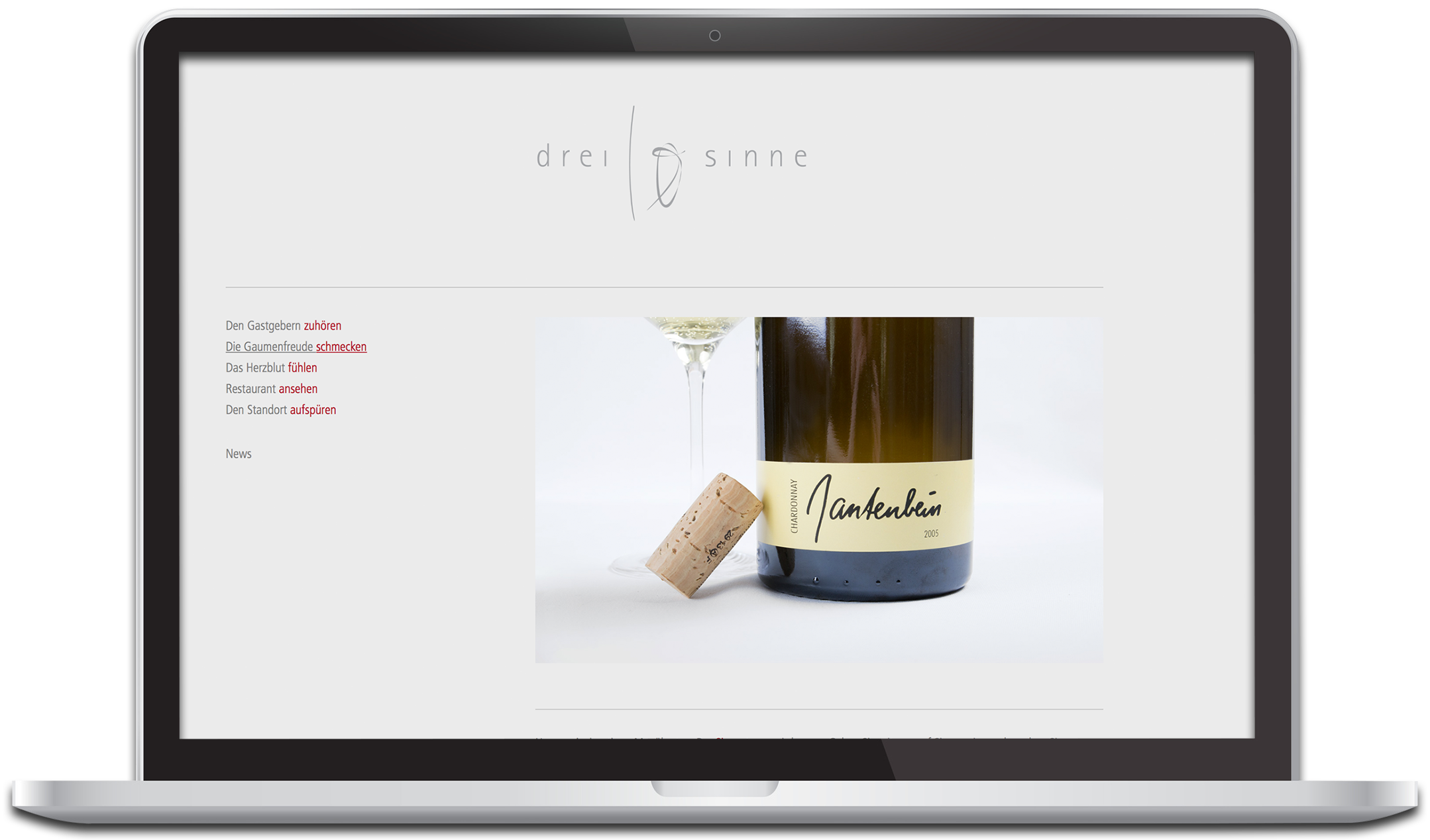 dreizehnsinne MacBook
