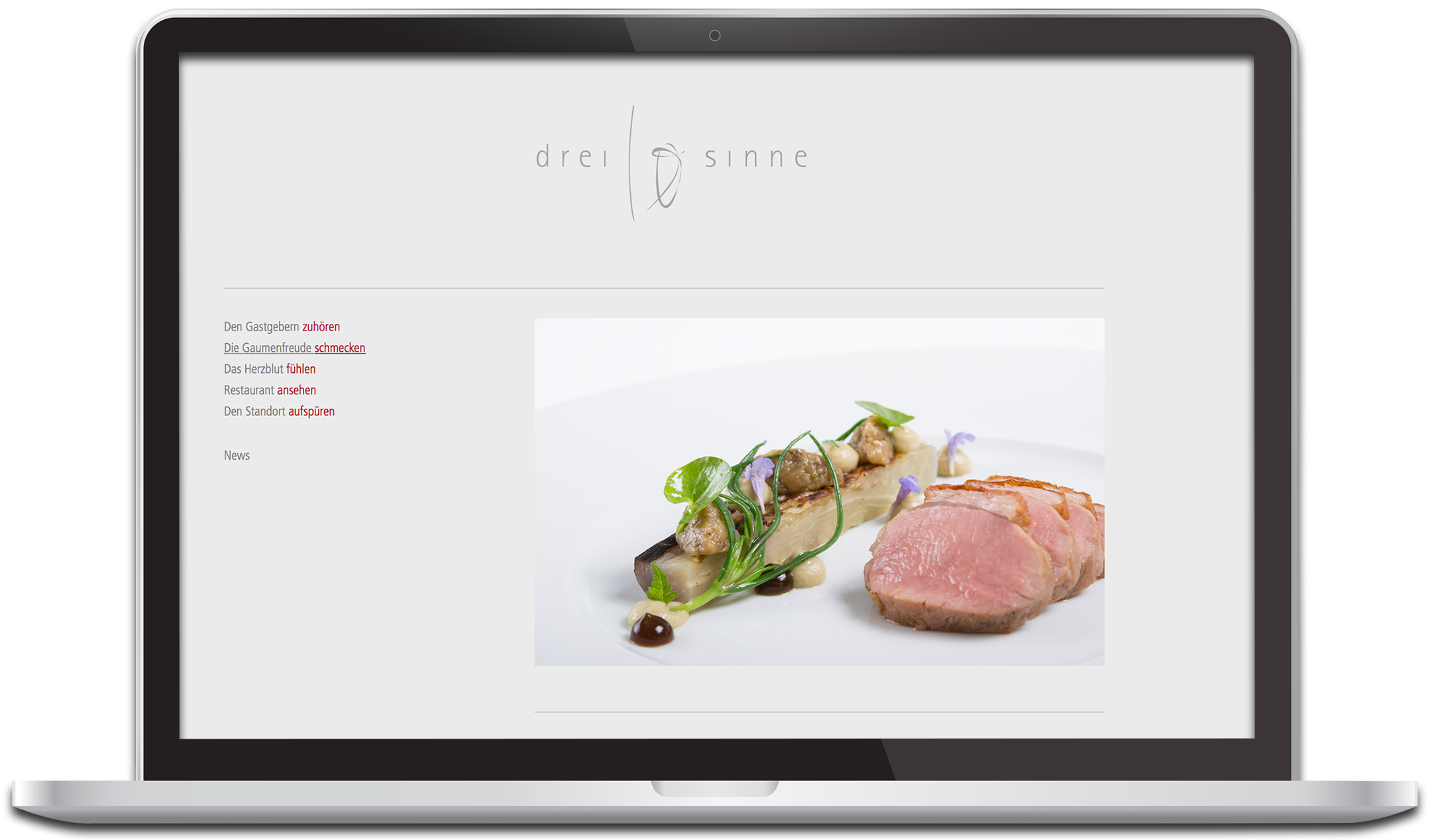 dreizehnsinne MacBook
